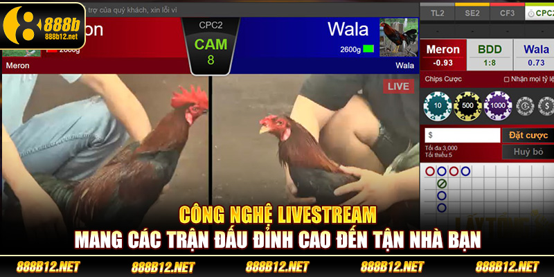 Công nghệ livestream mang các trận đấu đỉnh cao đến tận nhà bạn