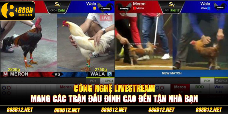 Công nghệ livestream mang các trận đấu đỉnh cao đến tận nhà bạn