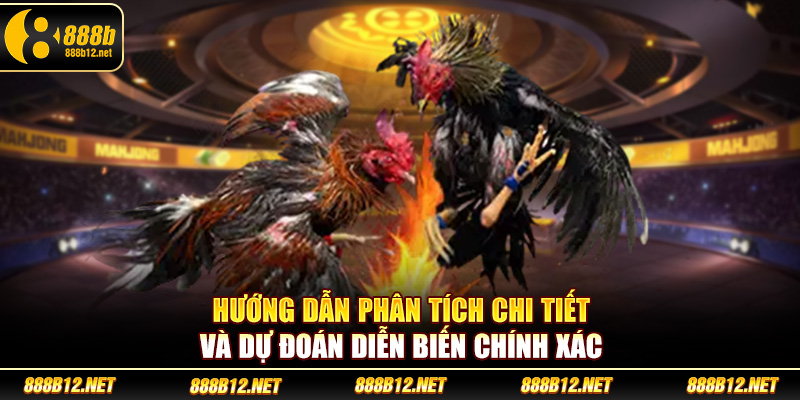 Hướng dẫn phân tích chi tiết và dự đoán diễn biến chính xác