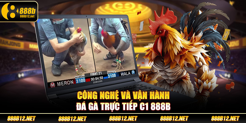Công nghệ và vận hành đá gà trực tiếp C1 888b
