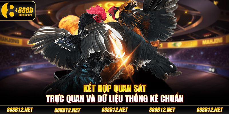 Kết hợp quan sát trực quan và dữ liệu thống kê chuẩn
