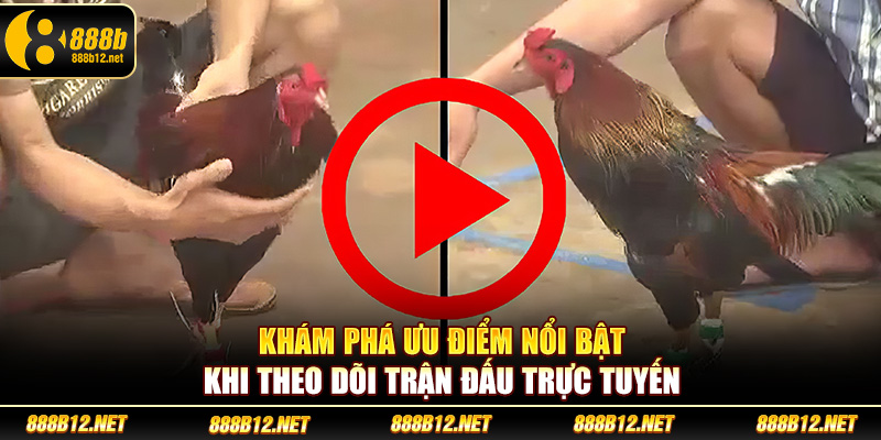 Khám phá ưu điểm nổi bật khi theo dõi trận đấu trực tuyến