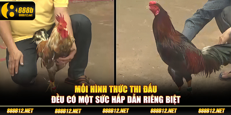 Mỗi hình thức thi đấu đá gà mạng đều có một sức hấp dẫn riêng biệt