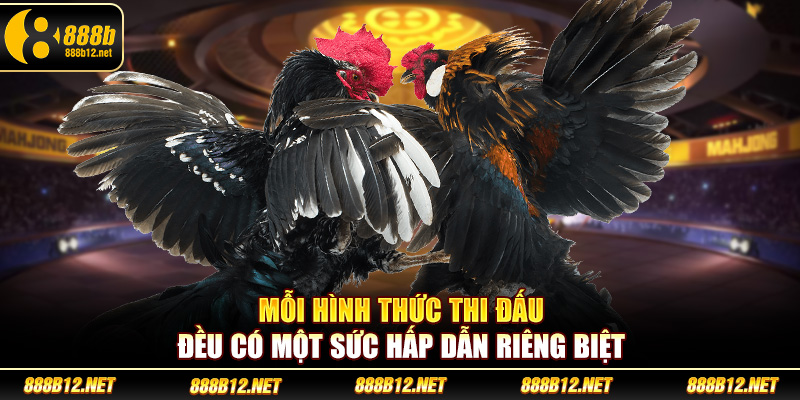 Mỗi hình thức thi đấu đá gà đều có một sức hấp dẫn riêng biệt