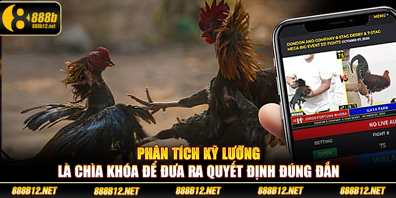 Phân tích kỹ lưỡng là chìa khóa để đưa ra quyết định đúng đắn
