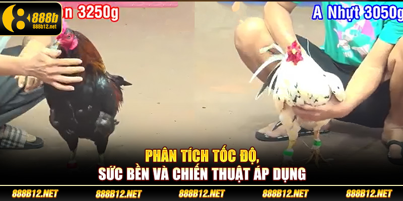 Phân tích tốc độ, sức bền và chiến thuật áp dụng