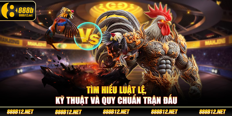 Tìm hiểu luật lệ, kỹ thuật và quy chuẩn trận đấu