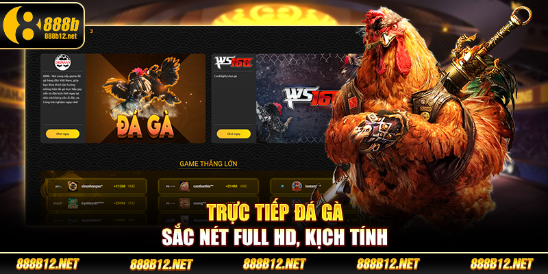 Trực tiếp đá gà sắc nét full HD, kịch tính