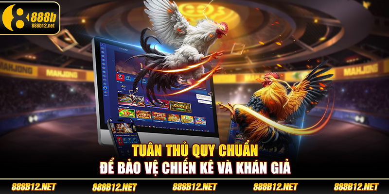 Tuân thủ quy chuẩn để bảo vệ chiến kê và khán giả